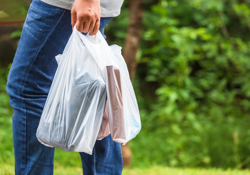 compostable bags vs regular plastic bags