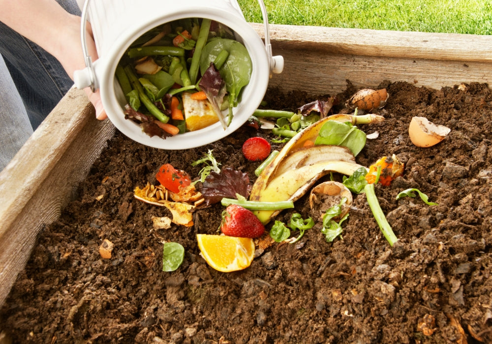 composting vegetables into compost