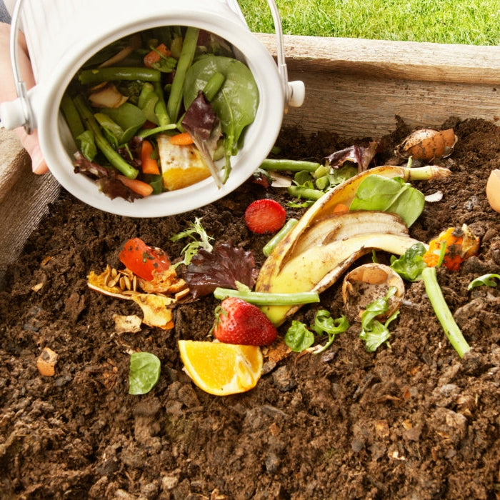 composting vegetables into compost