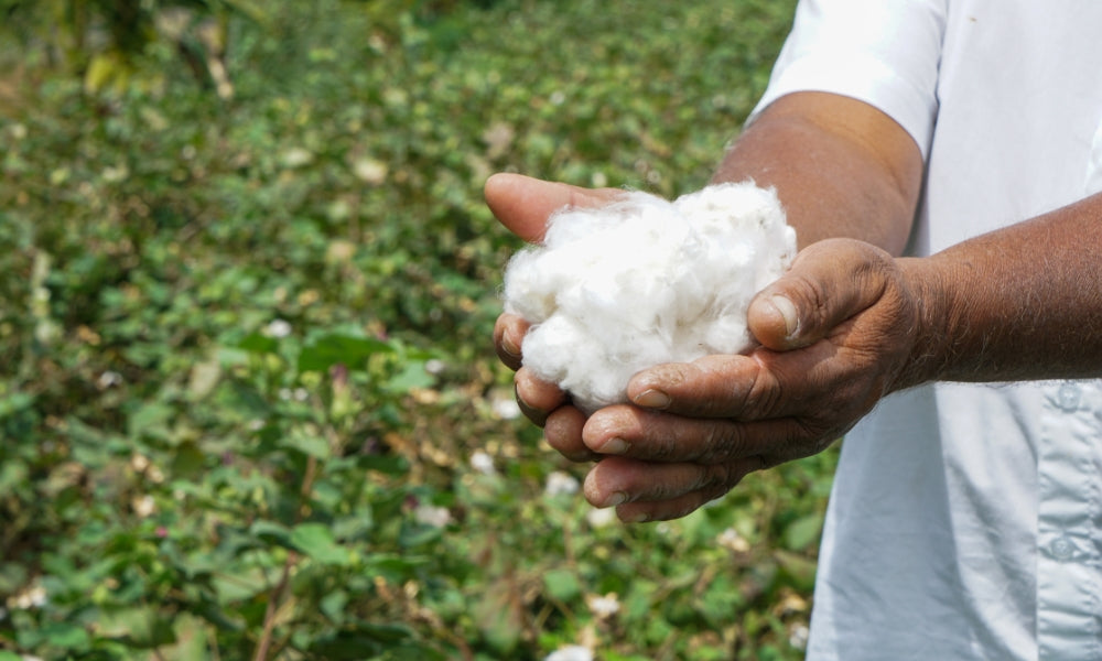 Empowering cotton farmers through Fairtrade: The impact behind our eco totes