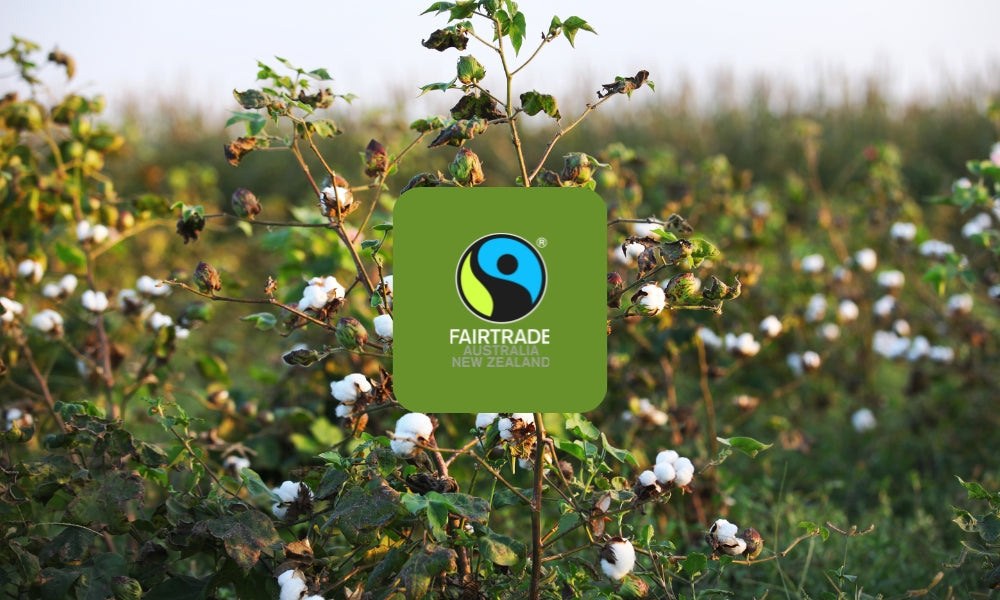 Fairtrade Fortnight 2025: Put People First, Choose the Mark