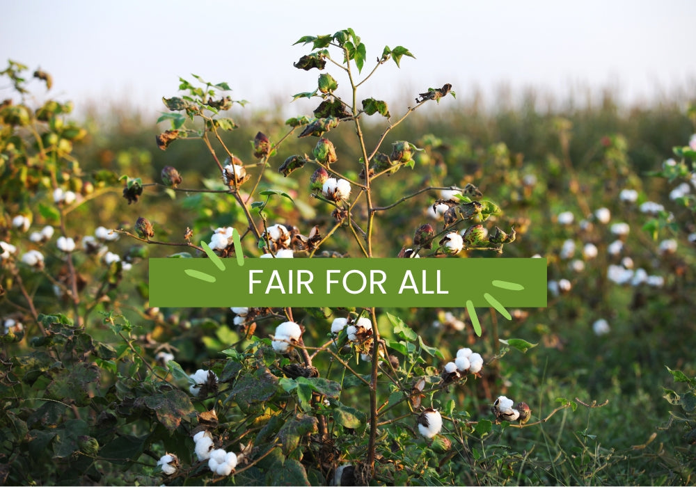 Organic Fairtrade cotton tote bags from Ecopack