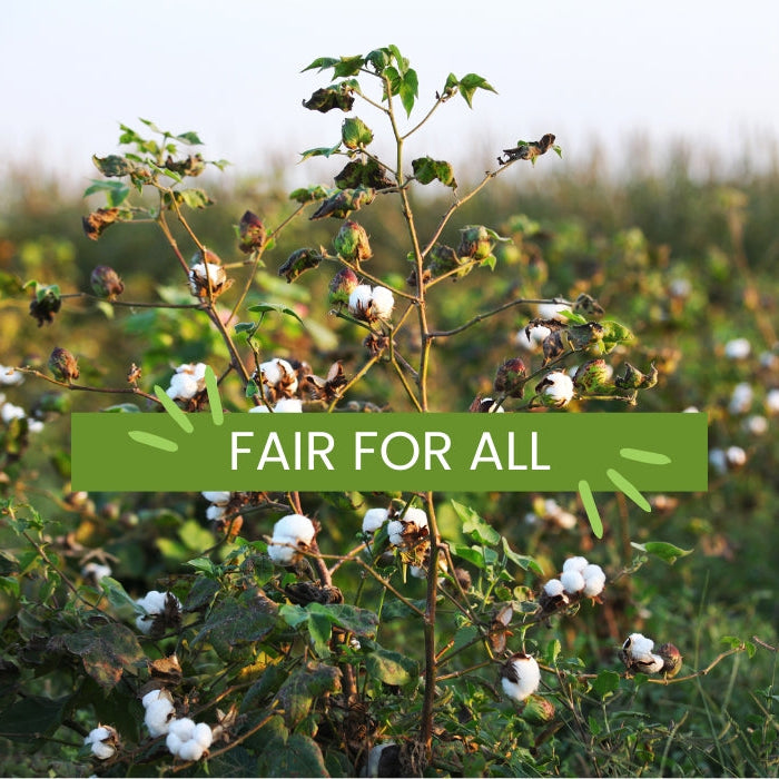 Organic Fairtrade cotton tote bags from Ecopack