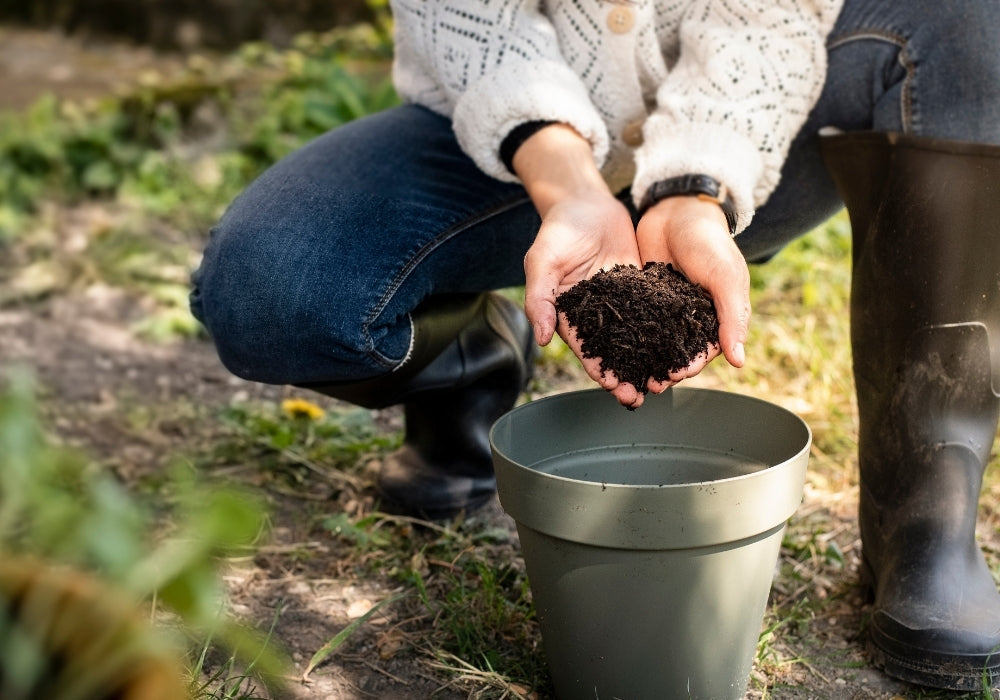 Compostable vs degradable bags