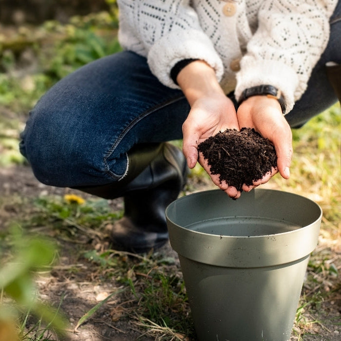 Compostable vs degradable bags