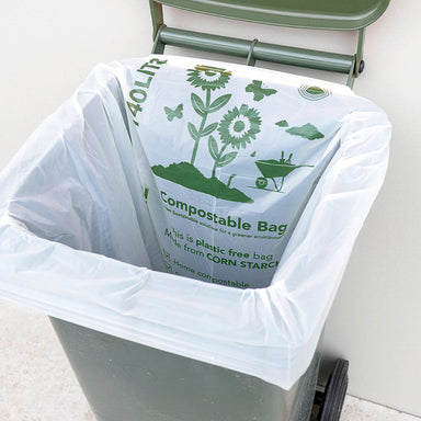 Compostable bin bag in wheelie bin