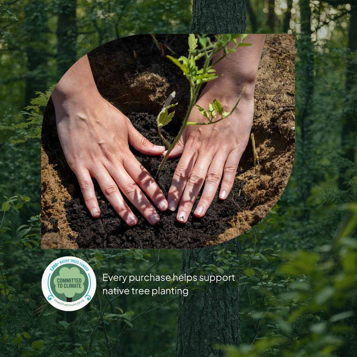 Ecopack compostable products community impact